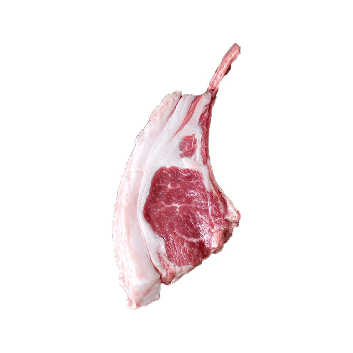 lamb rack frenched rare food shop on where can i buy lamb chops in manila
